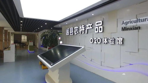 技術(shù)驅(qū)動(dòng)發(fā)展 岷縣電子商務(wù)銷(xiāo)售額突破2.99億元背后的軟硬件技術(shù)咨詢(xún)力量